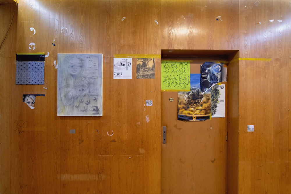 Gallery image 2