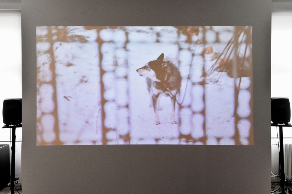 Gallery image 3