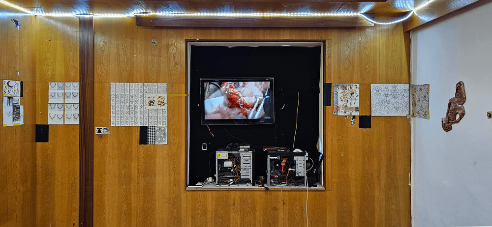 Gallery image 4