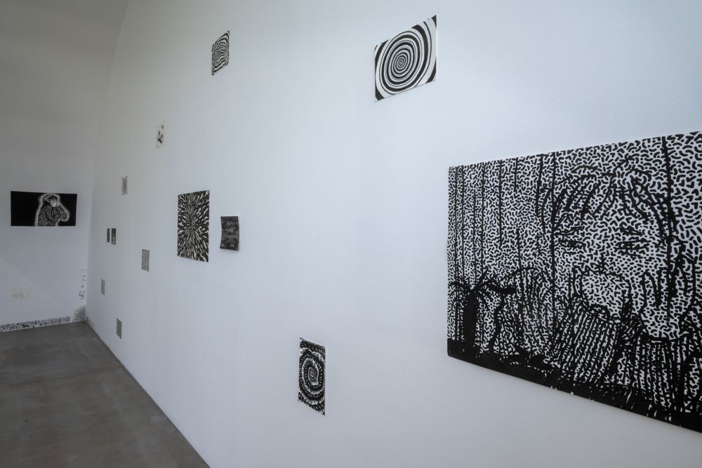 Gallery image 5