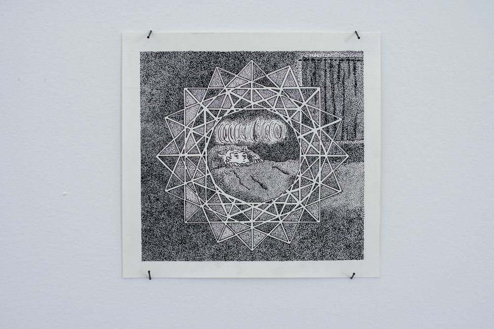 Gallery image 6
