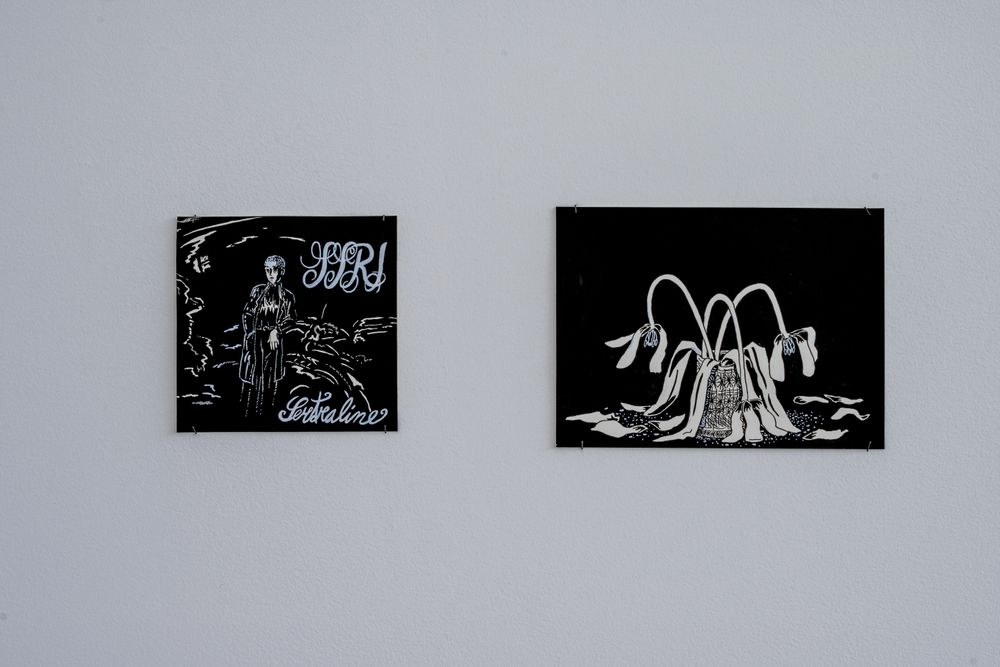 Gallery image 8