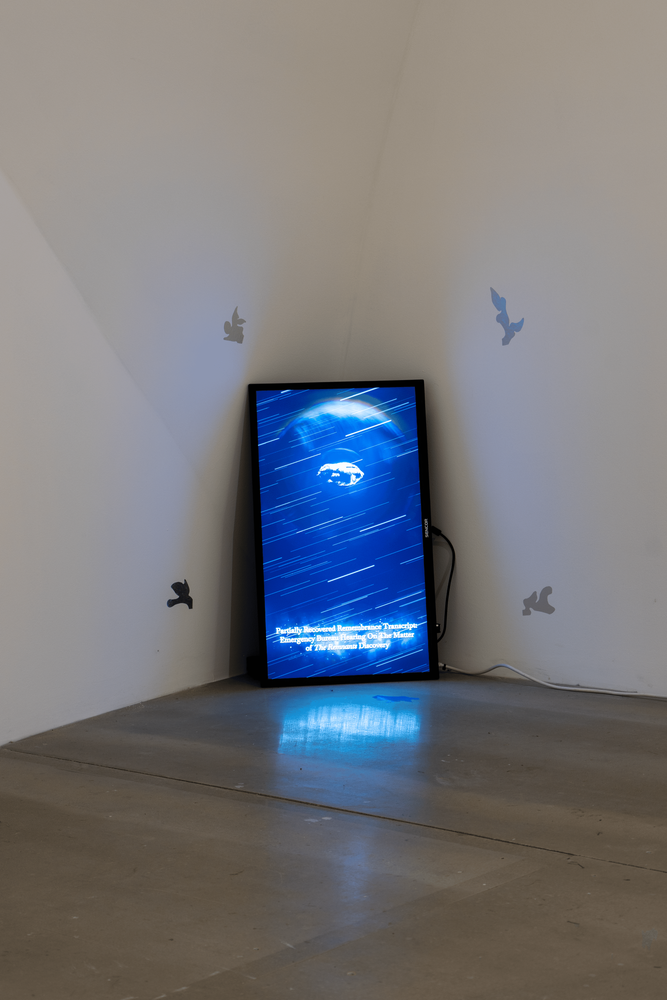 Gallery image 10