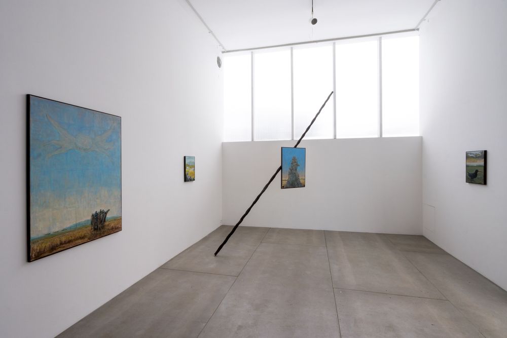 Gallery image 11
