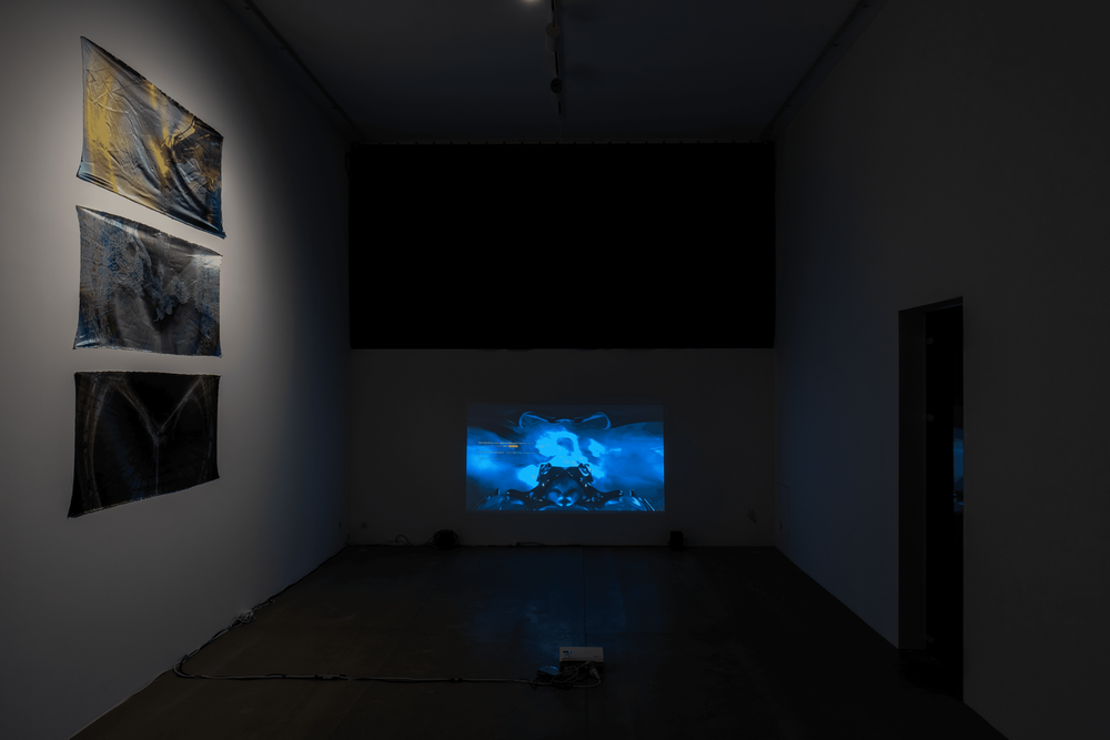 Gallery image 11