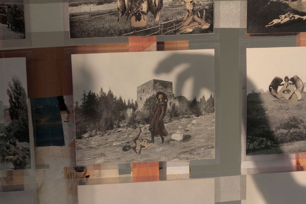 Gallery image 9