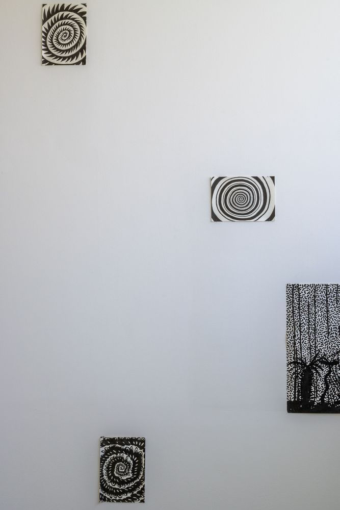 Gallery image 15