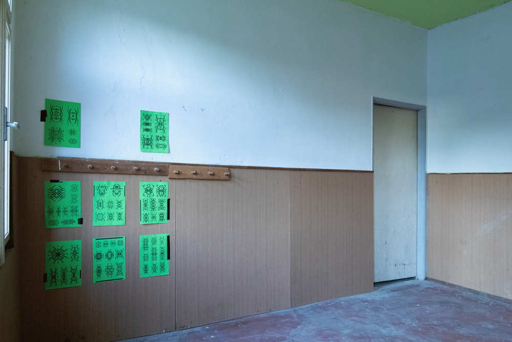 Gallery image 15