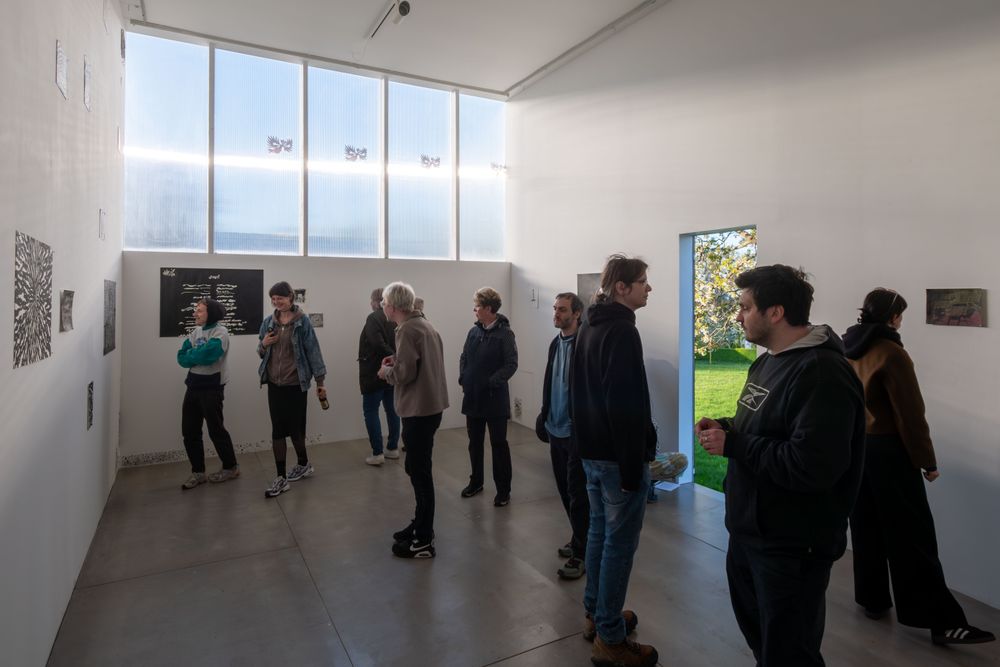 Gallery image 17