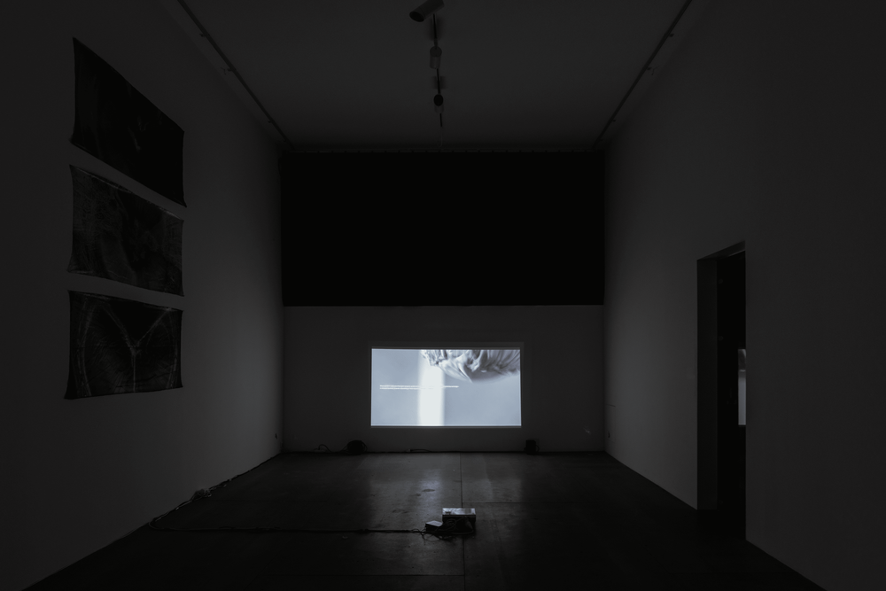 Gallery image 1