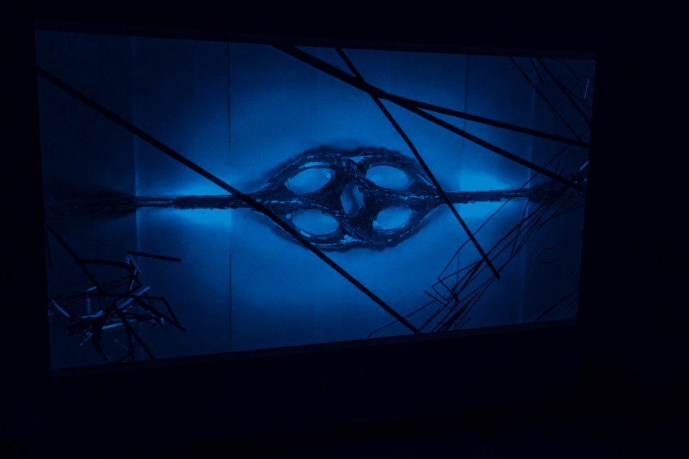 Gallery image 2