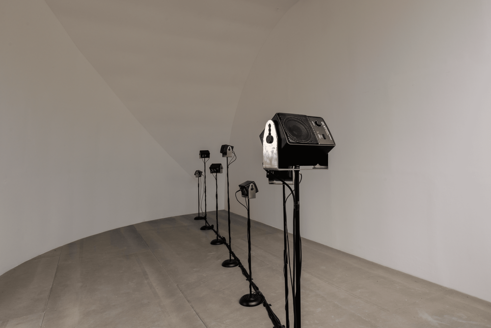 Gallery image 5