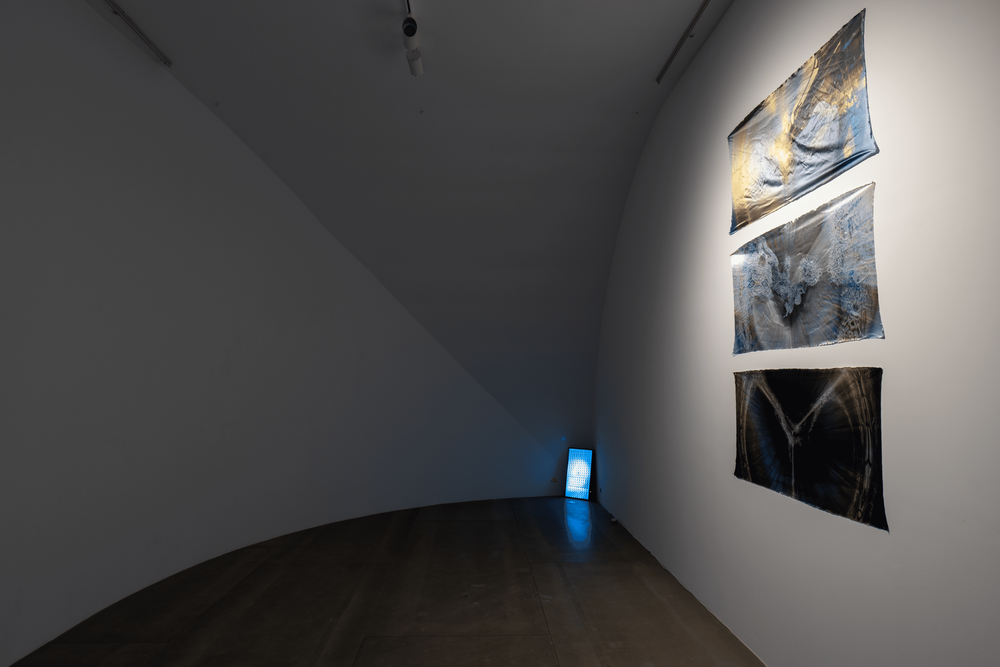 Gallery image 7