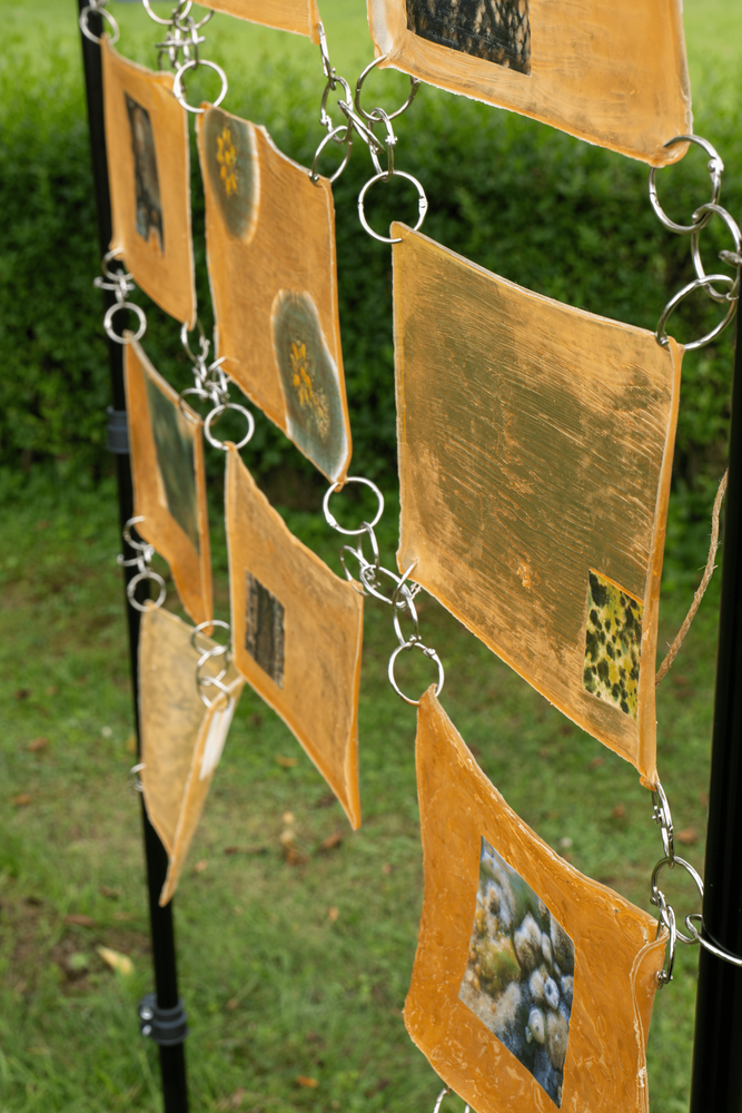 Gallery image 9