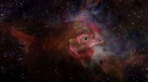 Chicken Run